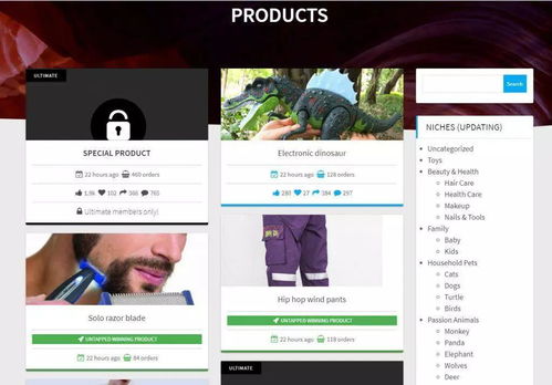 亞馬遜賣(mài)家,你要的選品步驟和選品工具清單都在這